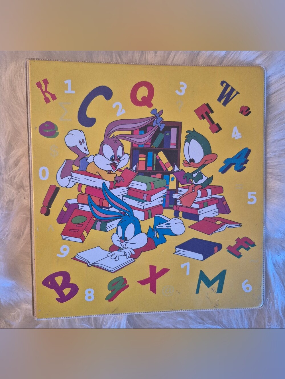 Vintage Warner Bros 1993 Tiny Toon Adventures 3-ring Binder